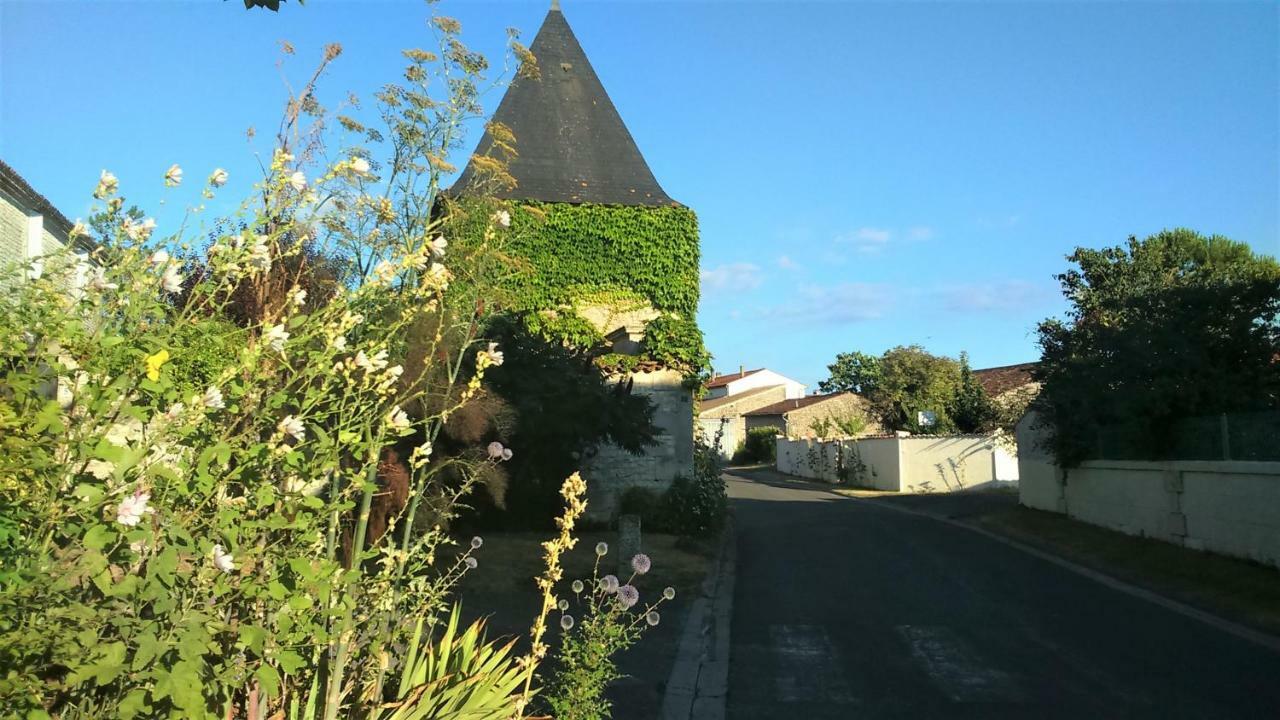 Les Gites Du Vigneron Et Cd'H Saint-Seurin-de-Palenne Екстер'єр фото
